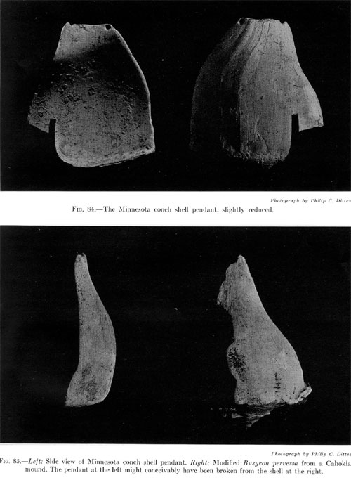 conch shell pendant the minnesota woman