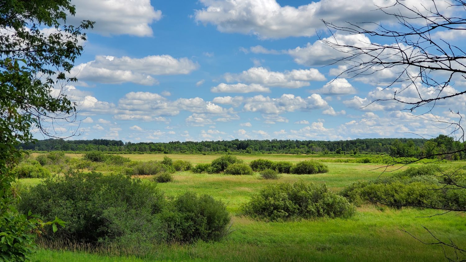 Bluffton Otter Tail County, MN