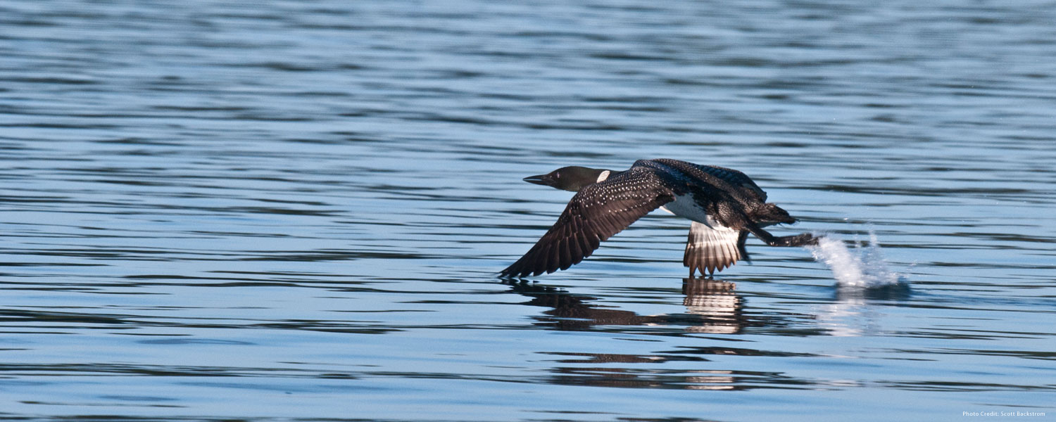 Dora - Otter Tail County, MN