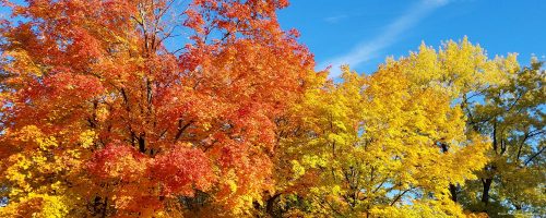 Fergus Falls Township in Otter Tail County Minnesota