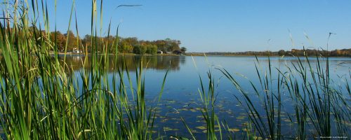 Leaf Lake Township