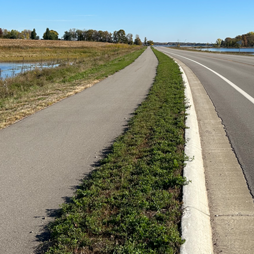 Perham Segment trail by the road